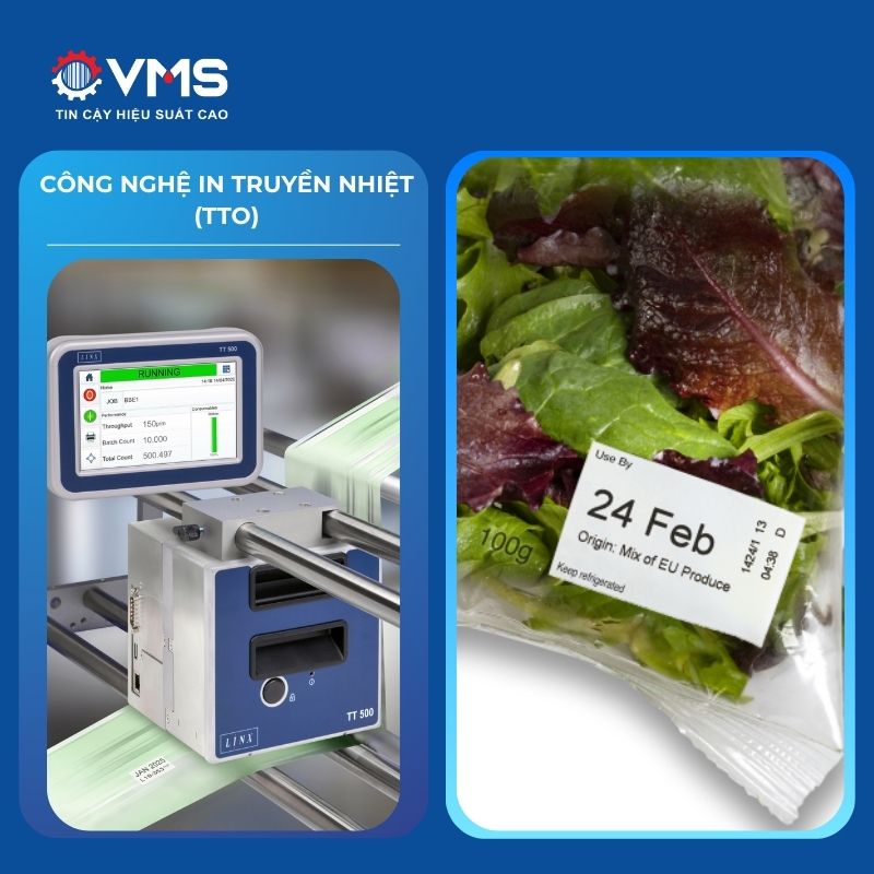 Công nghệ in truyền nhiệt (TTO)