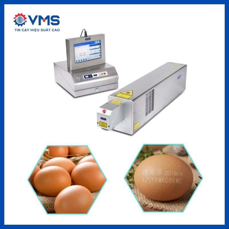 Máy khắc laser lên trứng
