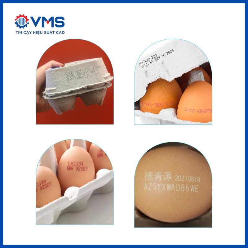 Ứng dụng in lên trứng cho bề mặt cong và phẳng đều được
